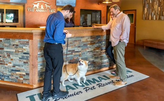 about-image-1 Guest checking in their dog at the front desk