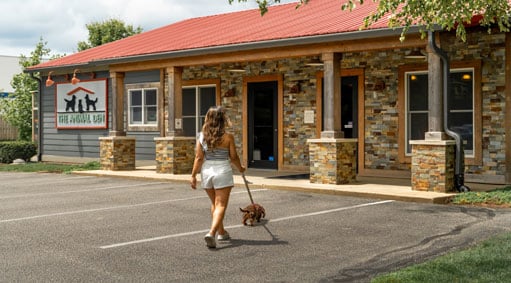 Customer walking their dog into the resort