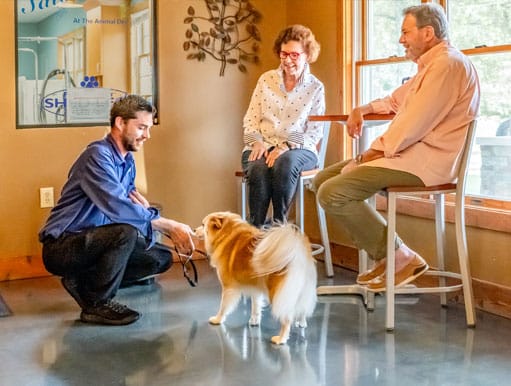 Staff greeting customers and their dog