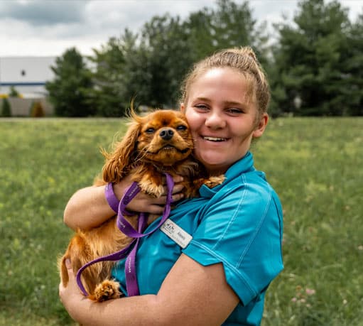 Staff holding a dog