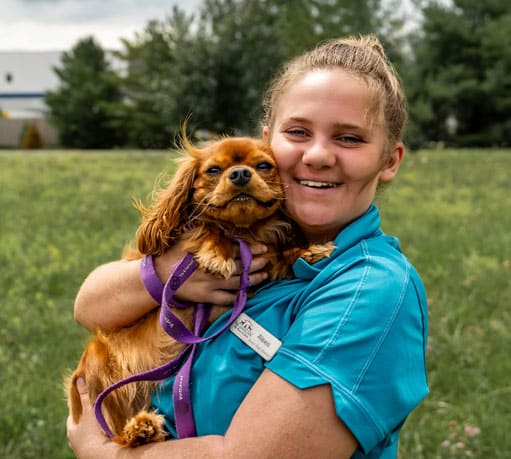 Staff holding a small dog