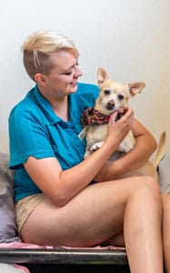 Staff holding a dog in their boarding suite