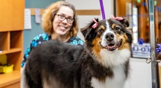 Dog being groomed in the salon