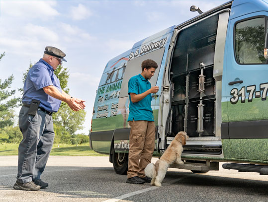 Loading a dog into our pick-up and delivery van