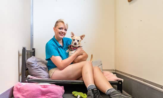 Staff with a dog in the deluxe suite